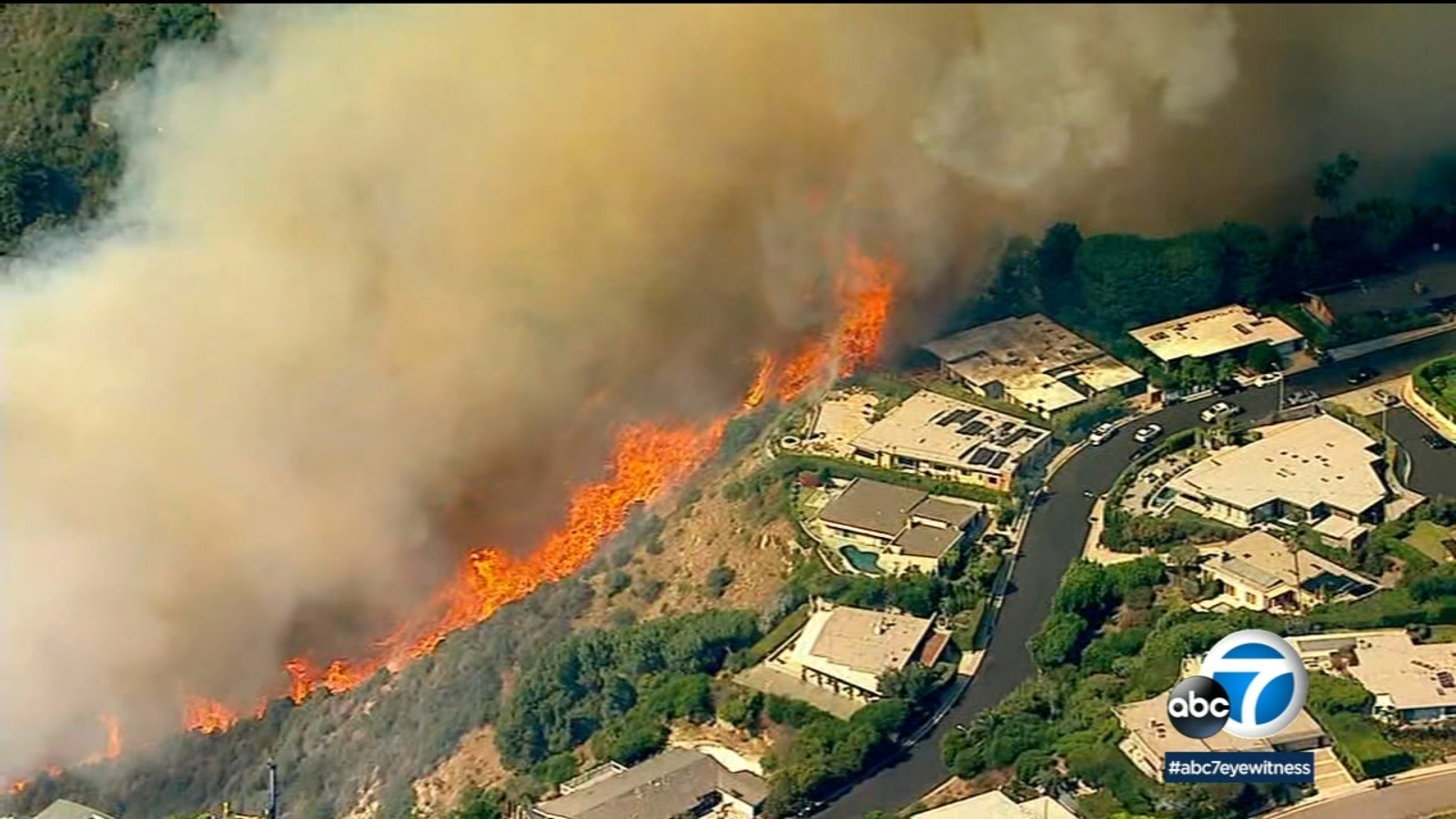 Full List: Celebrities Affected By The Palisades Fires In Los Angeles Full List: Celebrities Affected By The Palisades Fires In Los Angeles