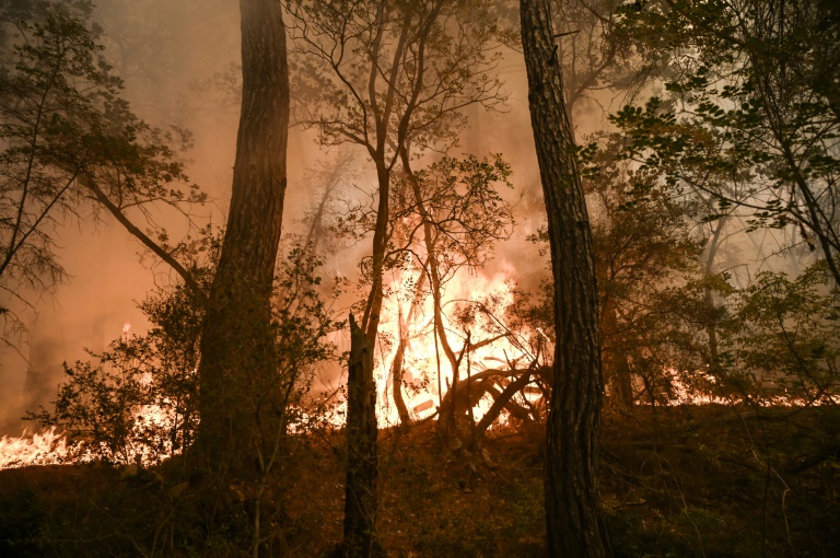 Los Angeles Wildfires And The Growing Market For Disaster-Related Wagers