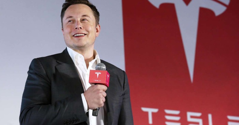 Musk's Influence: How Political Backlash Affected Tesla's Q1 Profits