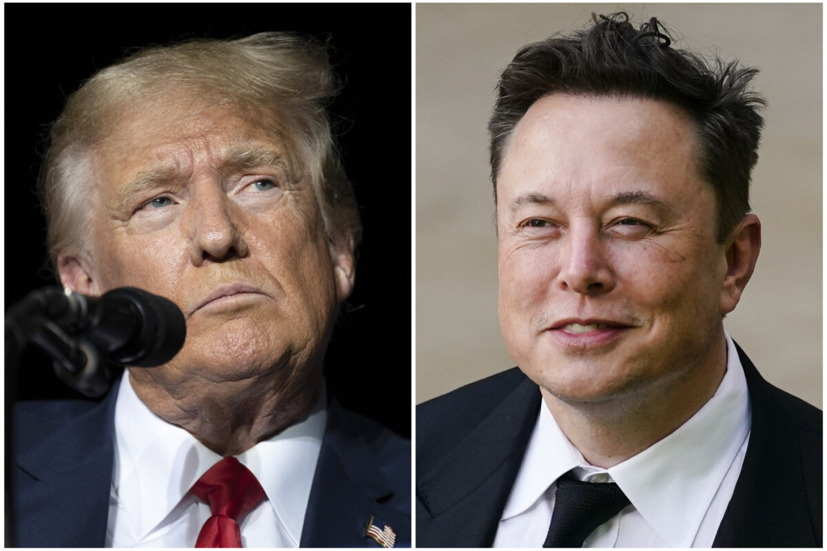 Tesla's Reduced Q1 Profitability: Analysis Of The Musk-Trump Controversy