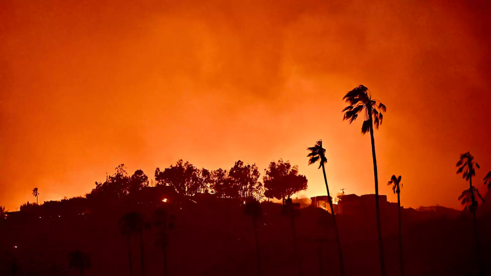 The Growing Trend Of Betting On Wildfires: The Los Angeles Case The Growing Trend Of Betting On Wildfires: The Los Angeles Case